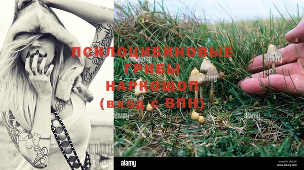 бутик Ладушкин